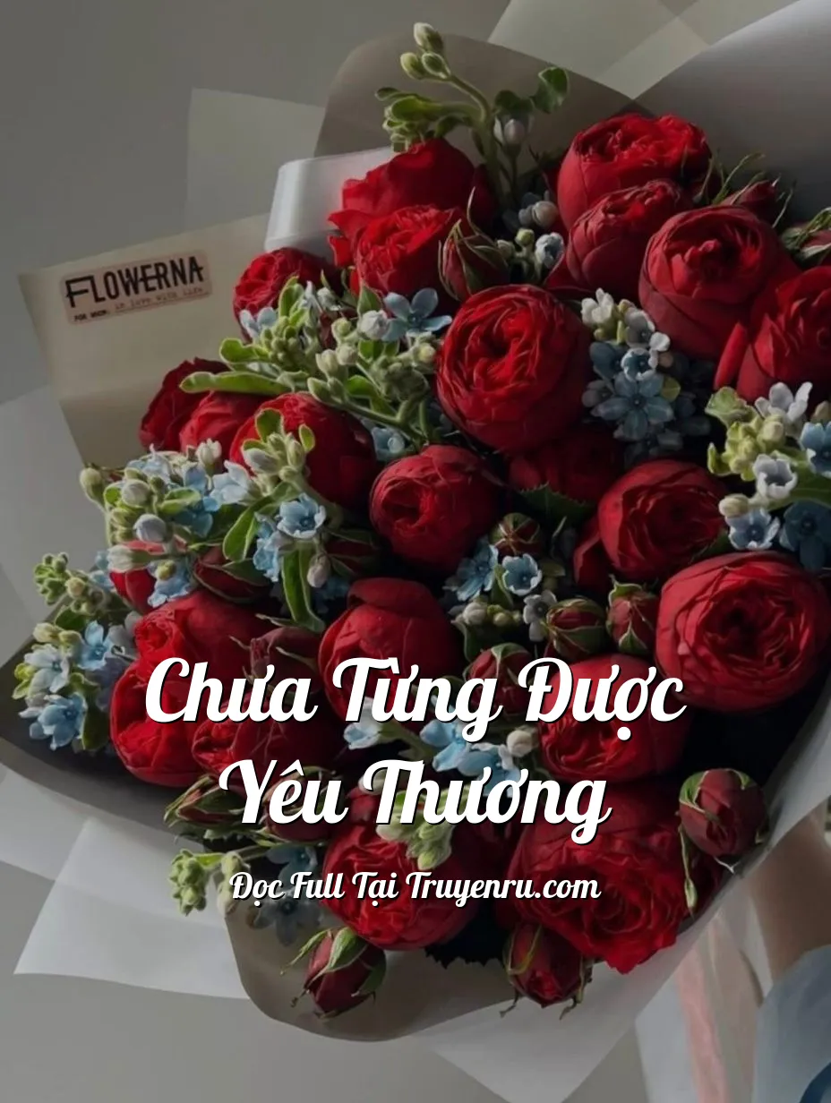 Bìa truyện CHƯA TỪNG ĐƯỢC YÊU THƯƠNG