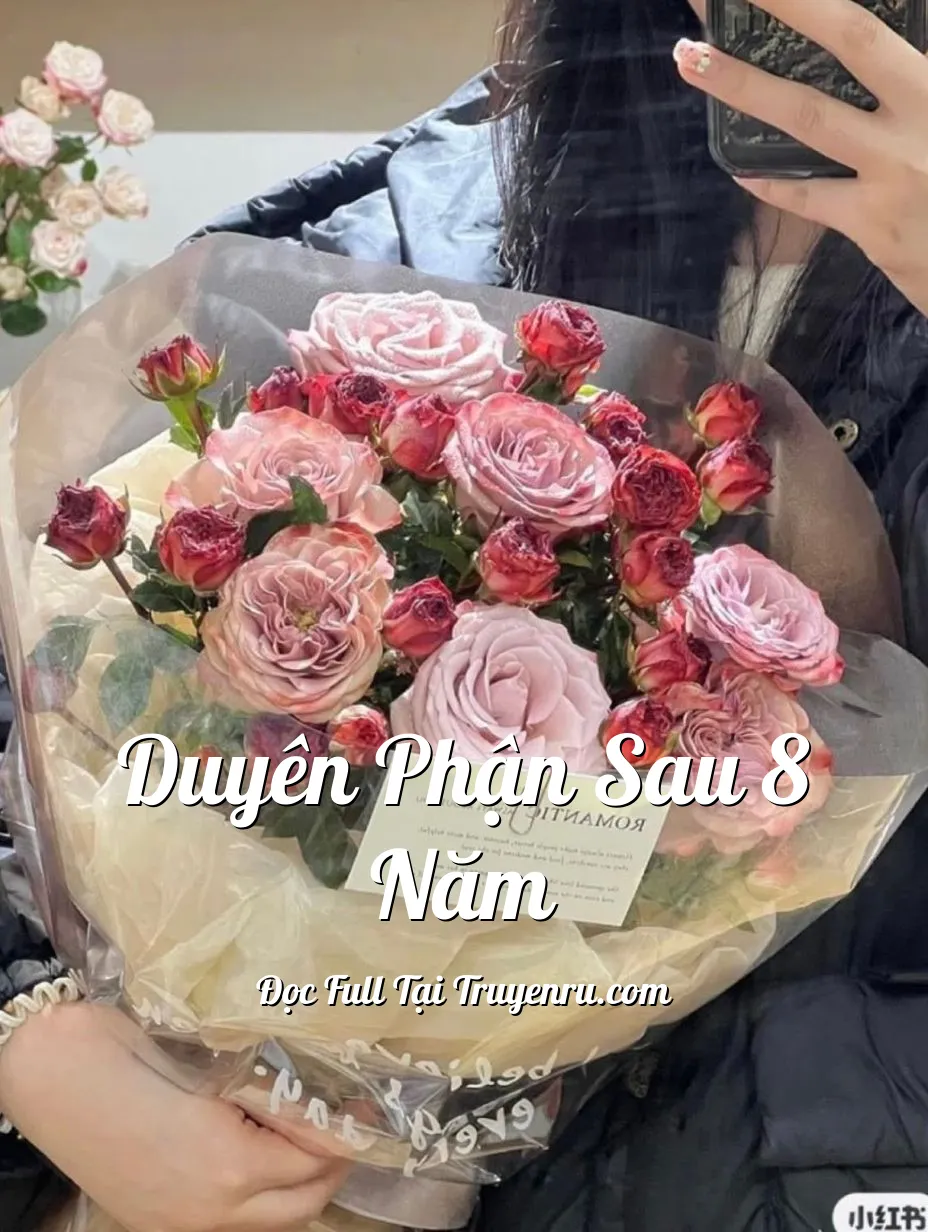 Bìa truyện DUYÊN PHẬN SAU 8 NĂM