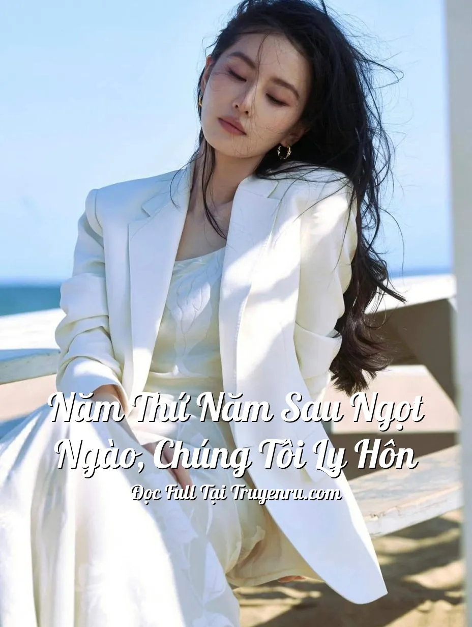 Bìa truyện Năm Thứ Năm Sau Ngọt Ngào, Chúng Tôi Ly Hôn