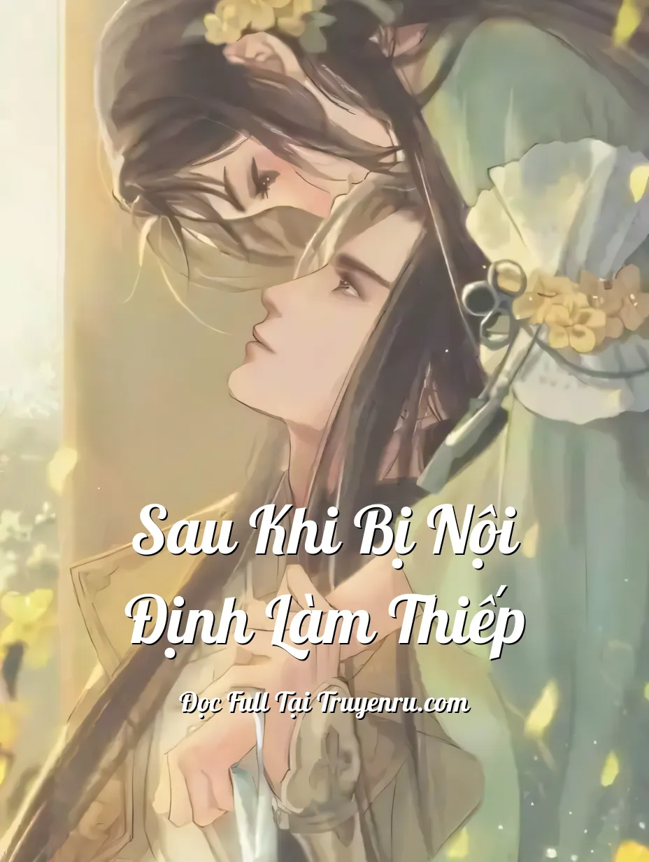 Bìa truyện Sau Khi Bị Nội Định Làm Thiếp